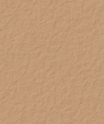 Harvest-Gold-5084