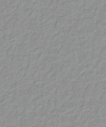 Light-Gray-860