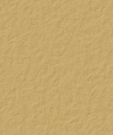 Palomino-5447