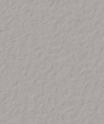 Pewter-860