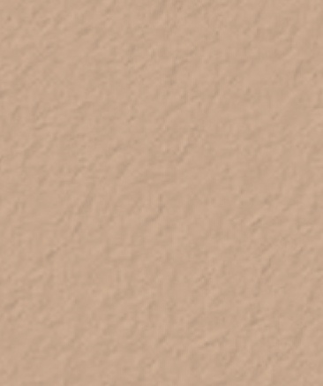 Southern-Blush-10134