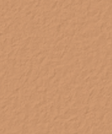 Spanish-Gold-5084