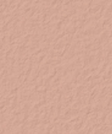 Sunset-Rose-160