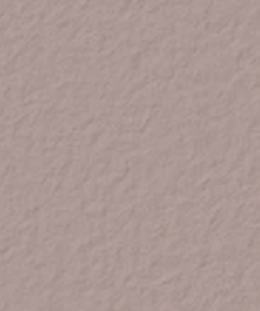 Taupe-677
